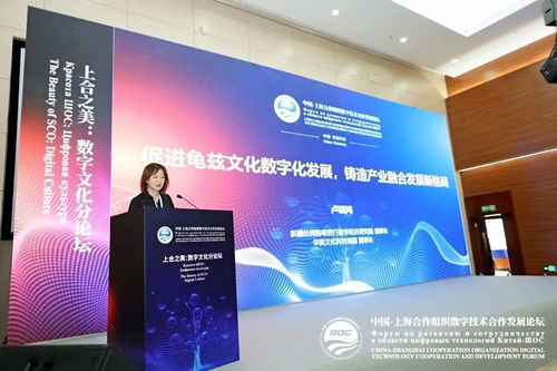 上合之美，數字賦能 推動龜茲文化數字化發展，打造產業融合新格局
